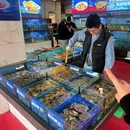 长沙海底世界 - 长沙市旅游 缩略图 8
