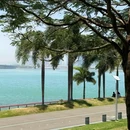 深圳湾公园 - 深圳市旅游 缩略图 1