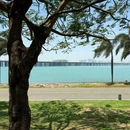 深圳湾公园 - 深圳市旅游 缩略图 6