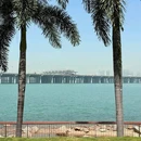深圳湾公园 - 深圳市旅游 缩略图 9