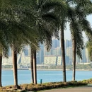 深圳湾公园 - 深圳市旅游 缩略图 7