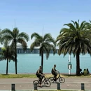 深圳湾公园 - 深圳市旅游 缩略图 8