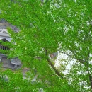 虎丘山风景名胜区 - 苏州市旅游 缩略图 3