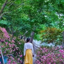 虎丘山风景名胜区 - 苏州市旅游 缩略图 7