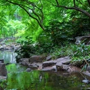 虎丘山风景名胜区 - 苏州市旅游 缩略图 6