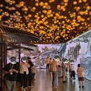 德基艺术博物馆 - 南京市旅游 缩略图 4