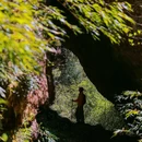 龙苍沟森林公园 - 雅安市旅游 缩略图 7