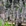 贵阳市·夜郎谷