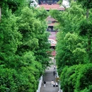 东湖磨山景区 - 武汉市旅游 缩略图 4