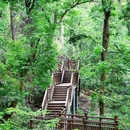 东湖磨山景区 - 武汉市旅游 缩略图 1