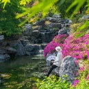 下渚湖·奇幻谷 - 湖州市旅游 缩略图 4