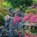 下渚湖·奇幻谷 - 湖州市旅游 缩略图 9
