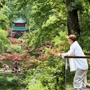 岳麓山国家重点风景名胜区 - 长沙市旅游 缩略图 7