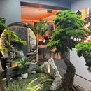 馋乡食(中医药店) - 长沙市旅游 缩略图 8