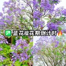 顺峰山公园 - 佛山市旅游 缩略图 1