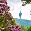 深圳市梧桐山风景名胜区 - 深圳市旅游 缩略图 3