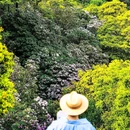 深圳市梧桐山风景名胜区 - 深圳市旅游 缩略图 4