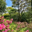 深圳市梧桐山风景名胜区 - 深圳市旅游 缩略图 6