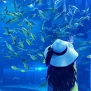 华夏城 - 威海市旅游 缩略图 8