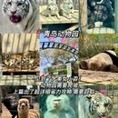 青岛中山公园 - 青岛市旅游 缩略图 6
