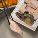 鱼家王·中山脆肉鲩火锅·商务宴请·聚餐(宝安中心店) - 深圳市旅游 缩略图 3