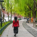 苏堤 - 杭州市旅游 缩略图 7