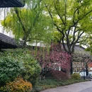 苏堤 - 杭州市旅游 缩略图 9