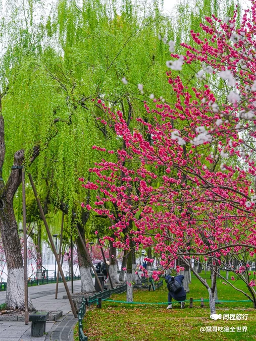 苏堤 - 杭州市旅游