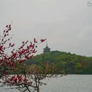 苏堤 - 杭州市旅游 缩略图 7