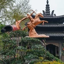 苏堤 - 杭州市旅游 缩略图 8