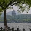 杭州西湖风景名胜区-杨公堤 - 杭州市旅游 缩略图 2