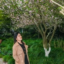 杭州西湖风景名胜区-杨公堤 - 杭州市旅游 缩略图 1