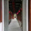 杭州西湖风景名胜区-杨公堤 - 杭州市旅游 缩略图 8