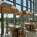 壹益菇行·云南野生菌火锅·云南小炒(常州首店) - 常州市旅游 缩略图 8