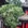 北京市·戒台寺