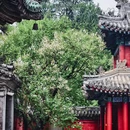 戒台寺 - 北京市旅游 缩略图 1