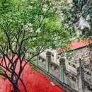 戒台寺 - 北京市旅游 缩略图 5