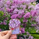 戒台寺 - 北京市旅游 缩略图 8