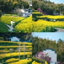 徽州大灵山旅游度假区 - 黄山市旅游 缩略图 9