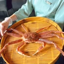 一仙弘宴Master Aesthetics(外滩27号店) - 上海市旅游 缩略图 4