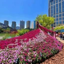 复兴公园 - 上海市旅游 缩略图 8