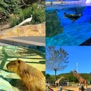 大连森林动物园 - 大连市旅游 缩略图 5