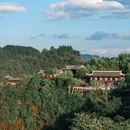 开阳云山茶海 - 贵阳市旅游 缩略图 7