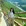 绵阳市·九皇山猿王洞景区