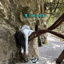 九皇山猿王洞景区 - 绵阳市旅游 缩略图 8