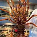 中国银行(大连腾飞科技支行) - 大连旅游 缩略图 4