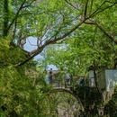 虎丘山风景名胜区-南门检票口 - 苏州市旅游 缩略图 3