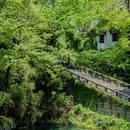 虎丘山风景名胜区-南门检票口 - 苏州市旅游 缩略图 7