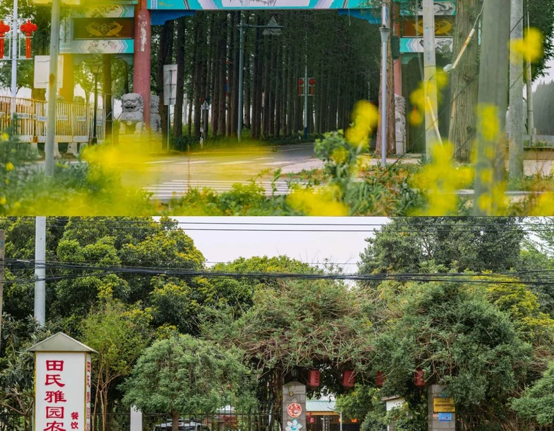 长江渔村游客接待中心 - 南京市旅游 1