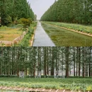 长江渔村游客接待中心 - 南京市旅游 缩略图 2